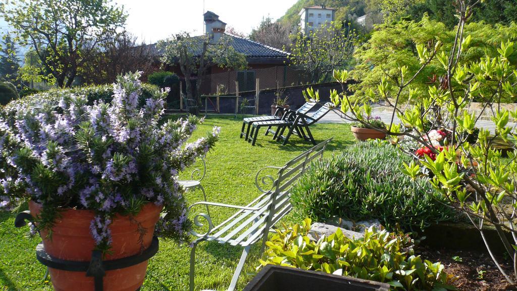 Casa Beatrice Leilighet Oliveto Lario Eksteriør bilde